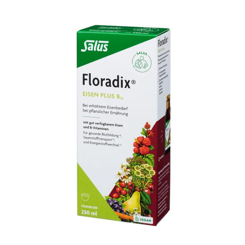 Salus Floradix Eisen plus B12 Tonikum 250ml