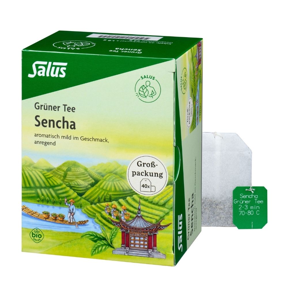 Salus Grüner Tee Sencha Bio 40 Filterbeutel