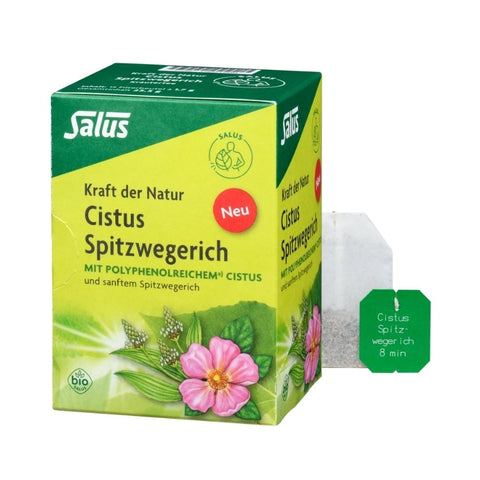 Salus Kraft der Natur Cistus Spitzwegerich Kräutertee Bio 15 Filterbeutel