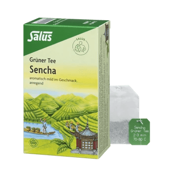Salus Grüner Tee Sencha 15 Filterbeutel Bio