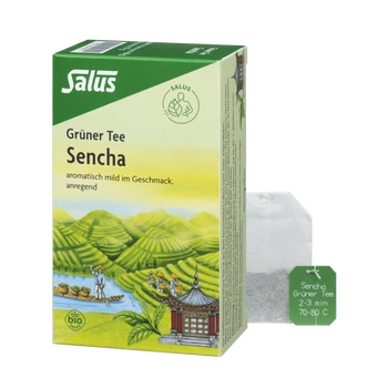 Salus Grüner Tee Sencha 15 Filterbeutel Bio