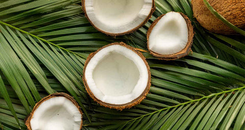 green coco Dr. Antonio Martins