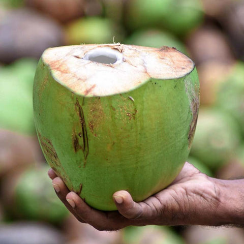 green coco Dr. Antonio Martins